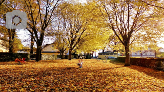 Spielplatz Berliner Straße